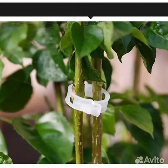 «Держатели для растений»