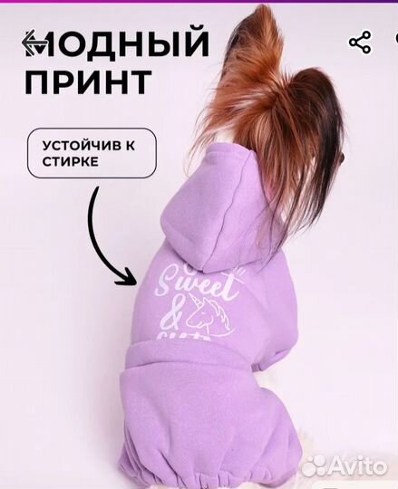 Одежда для маленьких собак и кошек