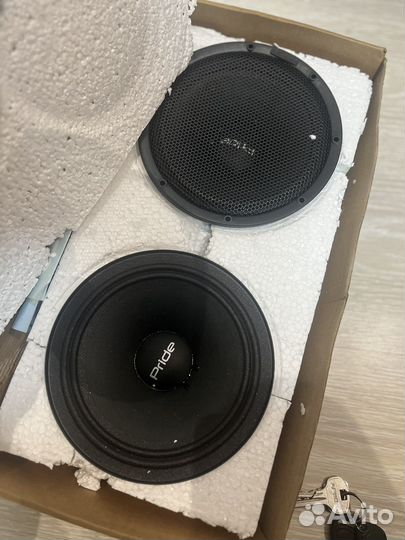 Динамики 16 pride solo 3