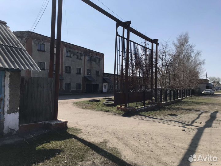 Действующий бизнес: Пекарня, мельница, магазин
