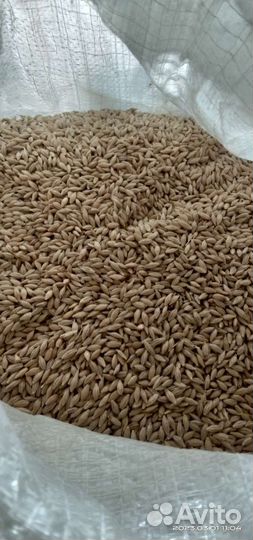 Комбикорм зерно дроблёнка