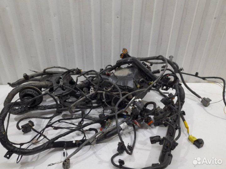 Проводка (коса) моторная c блоком предохранителей