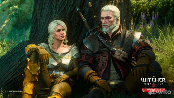 The Witcher 3: Wild Hunt (Steam)