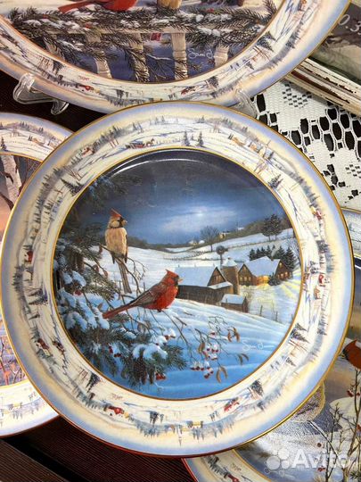 Эксклюзивные тарелки, которые имеют Bradex Number