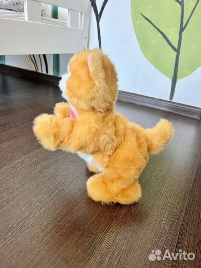 Игрушка furreal friends от Hasbro котёнок Дэйзи