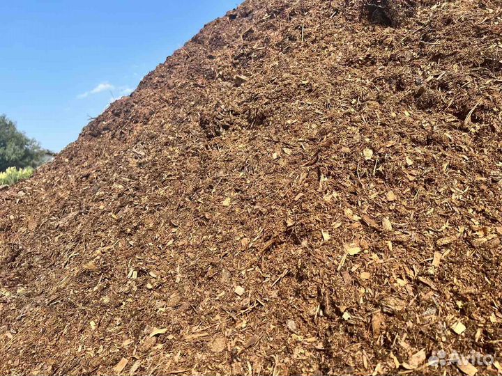 Конский Коровий Навоз