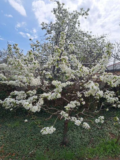 Дом 56 м² на участке 8 сот.