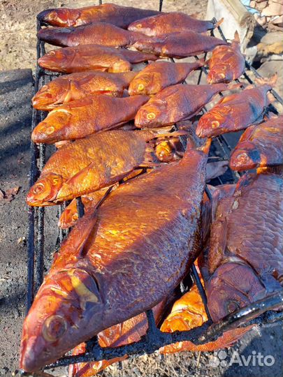 Рыба горячего копчения