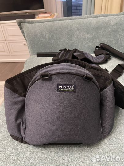 Хипсит pognae оригинал