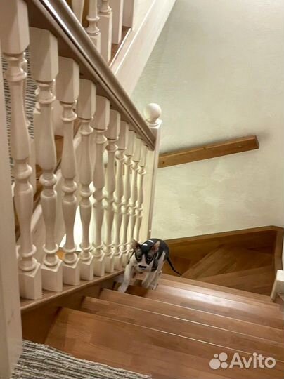 Лестница из дерева межэтажная на заказ