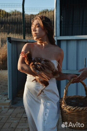 Креативный фотограф и видеограф