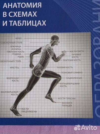 Книга по анатомии