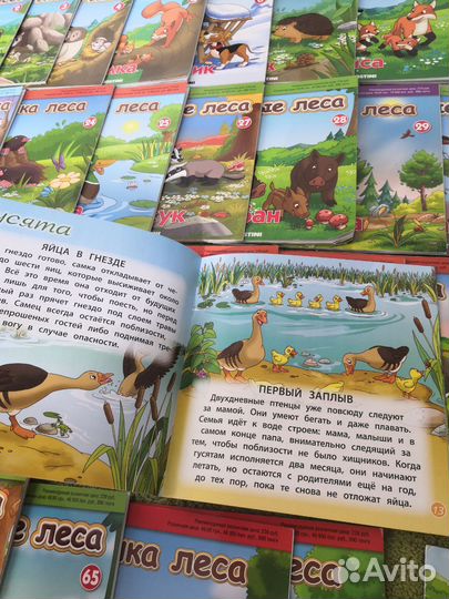 Книги журналы с Фёдором и Феклой