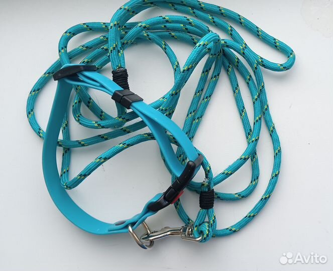 Ошейники и поводки для собак