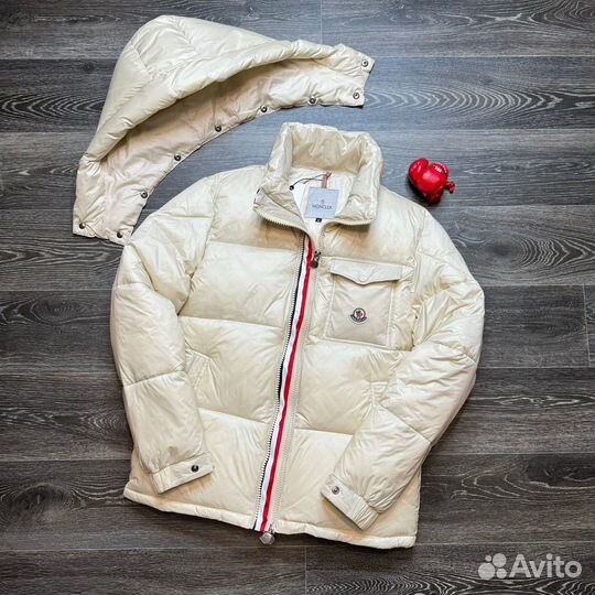 Пуховик мужской Moncler ‘Begie’ (52-56)