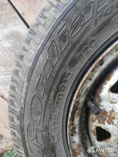 Cordiant Polar 175/70 R13