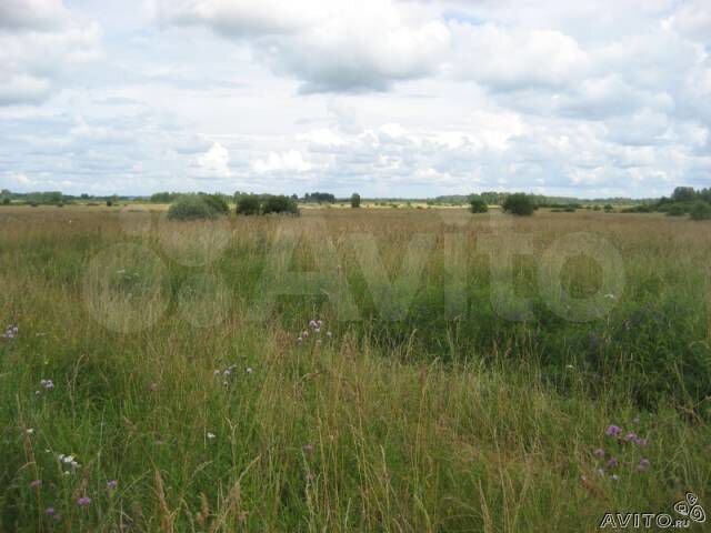 Участок 67 га (СНТ, ДНП)