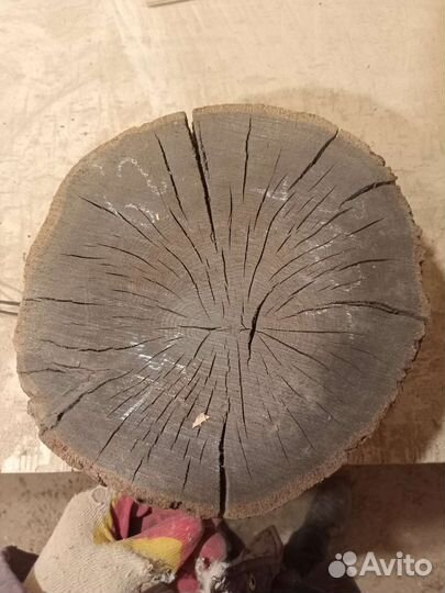 Спил торцевой