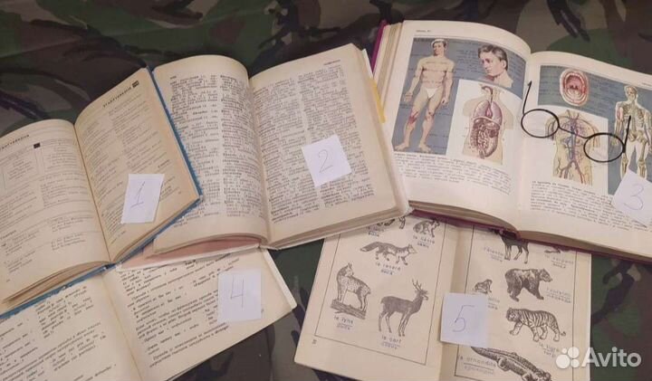 Английский, немецкий, французский словари (ссср)