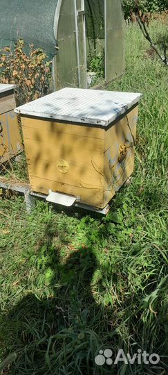 Ульи для пчёл