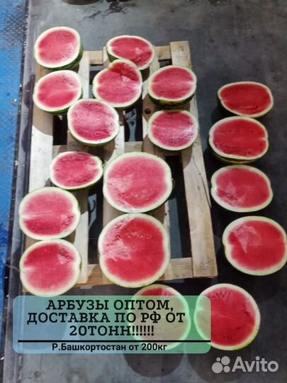 Арбузы с доставкой опт от 20 тонн