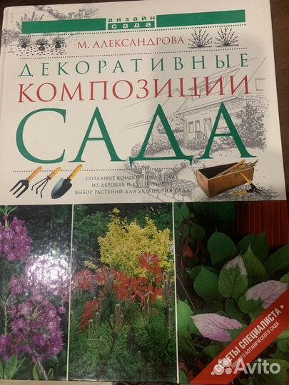 М.Александрова. Декоративные композиции сада