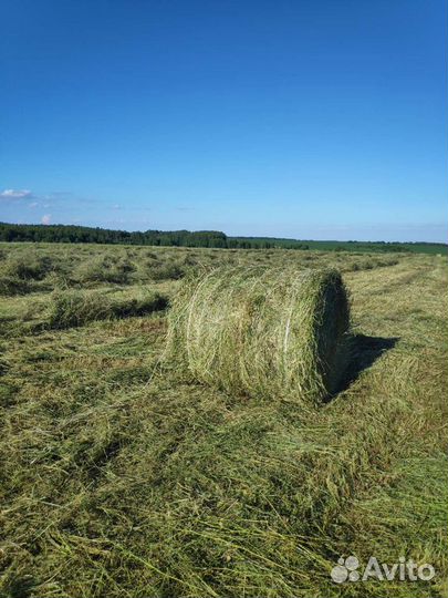 Сено, солома