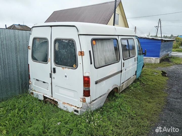 Газель соболь