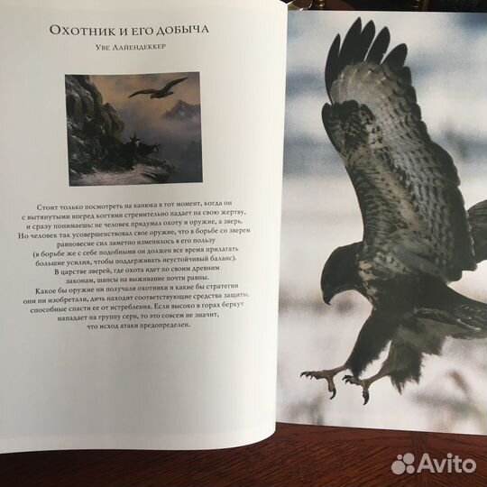 Охота. Курт Г. Блюхер