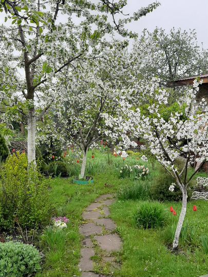 Дача 100 м² на участке 7,2 сот.