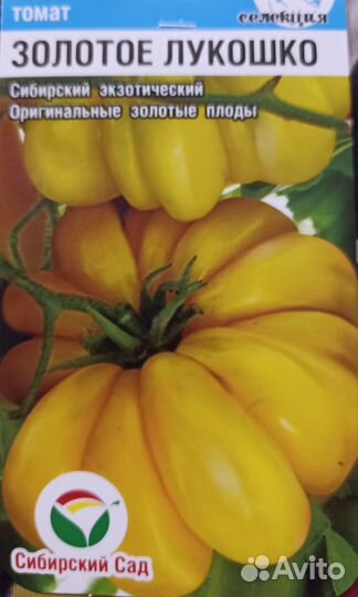 Рассада томатов