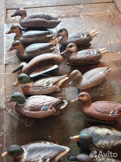 Чучела уток для охоты