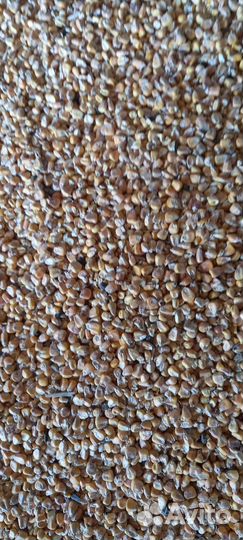 Корма для животных