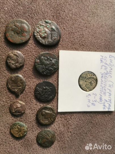 Ольвия монеты дельфин и Боспор