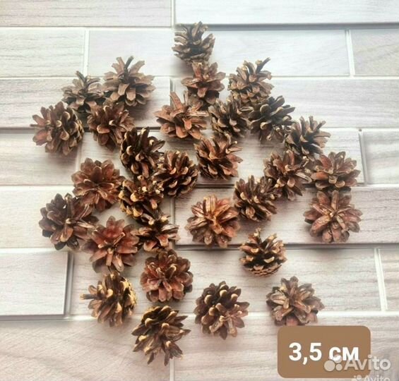 Шишки сосновые отборные 3,5см