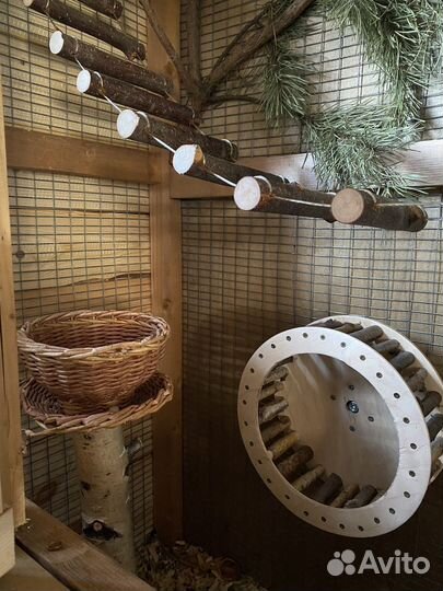 Клетка вольер витрина для шиншиллы, грызунов, птиц