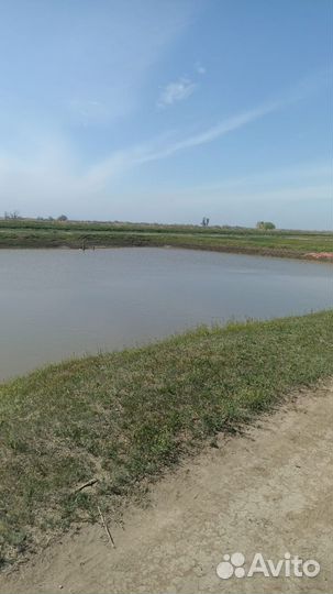 Рыбопосадочный материал