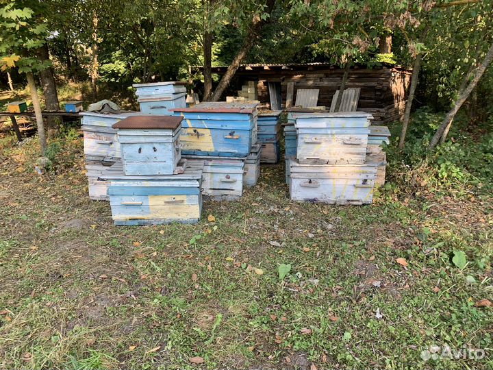 Ульи для пчел