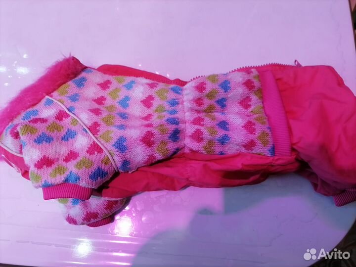 Одежда для маленьких собак