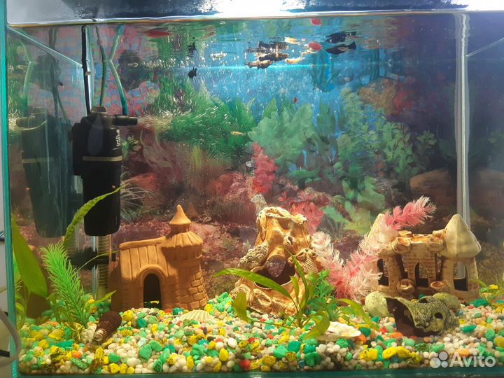 Аквариум