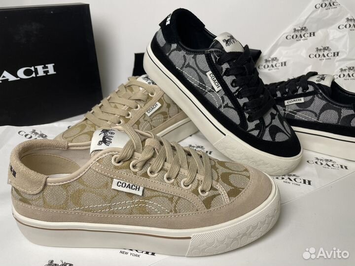 Кеды coach