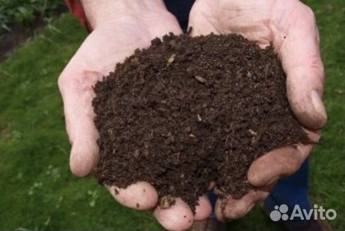Чернозем перегной