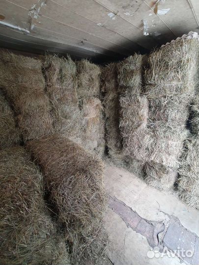 Сено В брикетах