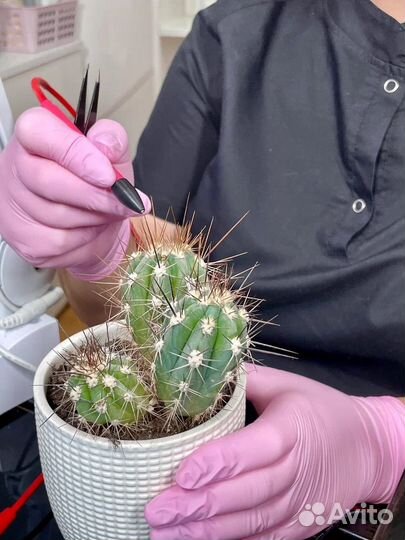 Мастер в студию депиляции