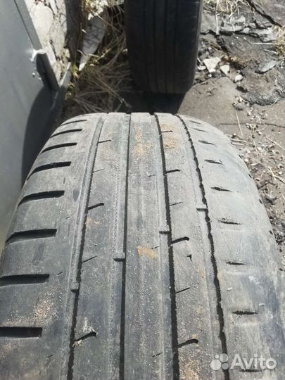 Nokian Tyres Hakka Blue 2 205/65 R16