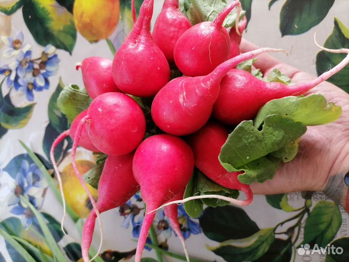 Доставка овощей и фруктов