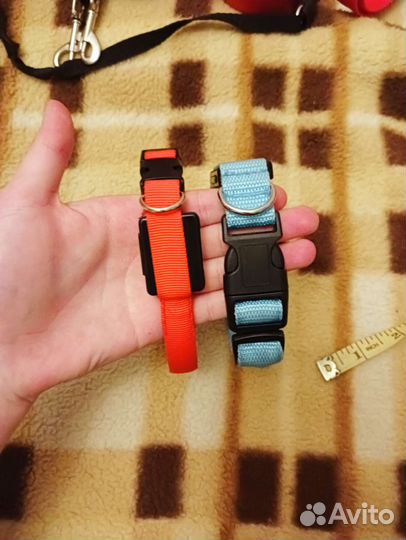 Амуниция для собак