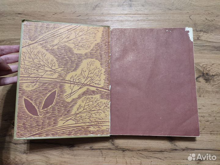 Книга О вкусной и и здоровой пище