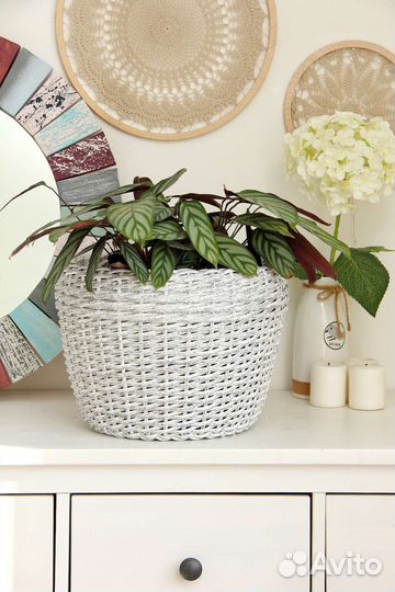 Кашпо из ротанга