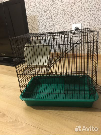 Клетка